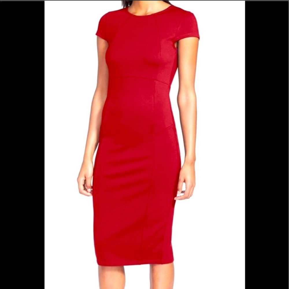 *new w/ tags* Felicity & Coco Seamed Pencil dress